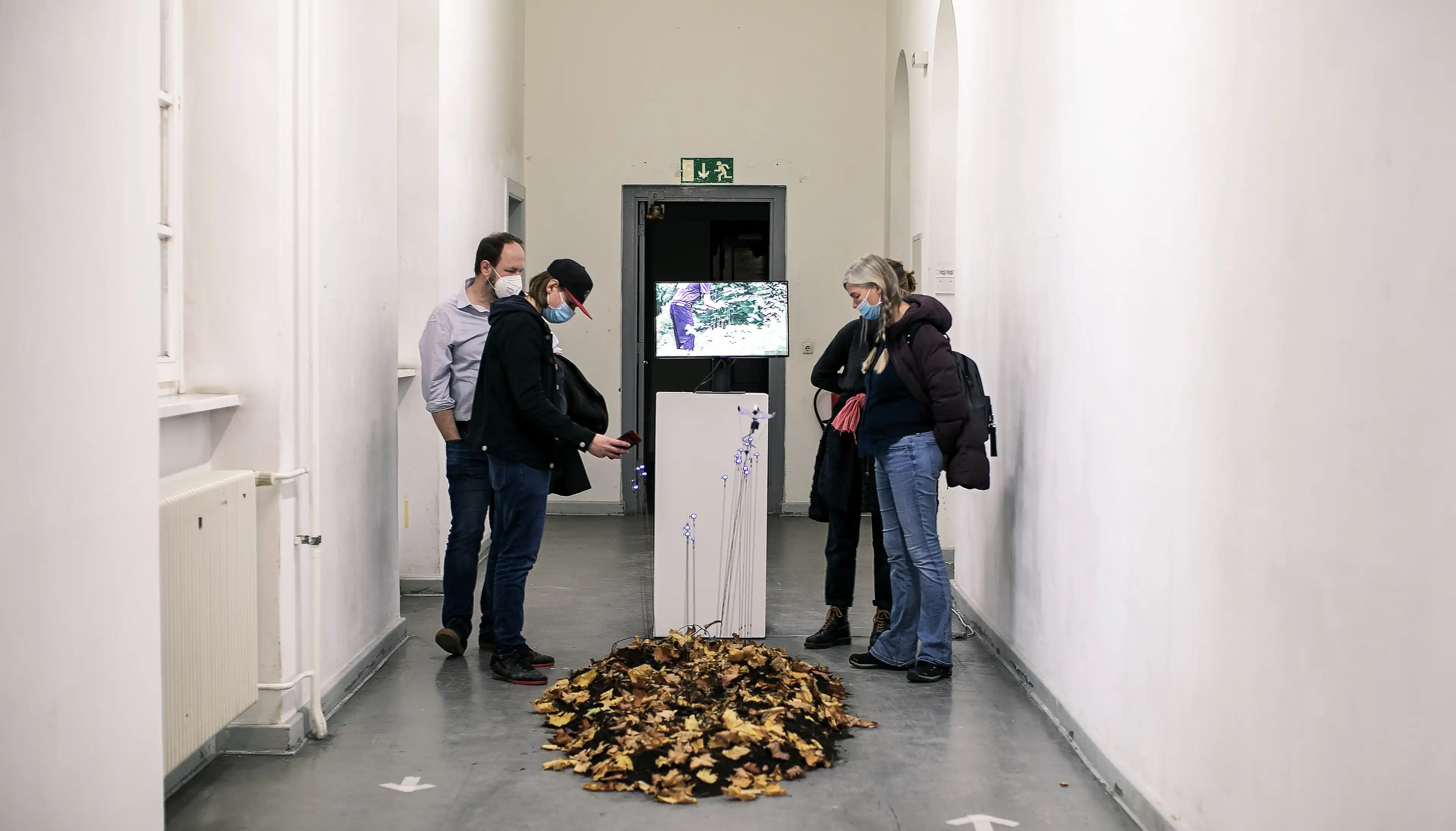 The picture shows the installation SYNANTROPHE setup in a mostly white hallway. The is a patch of dirt, leaves and the installation in the middle of it with several branches and the blossom. BEhind it is a white box and a screen on top of it showing the documentation video.